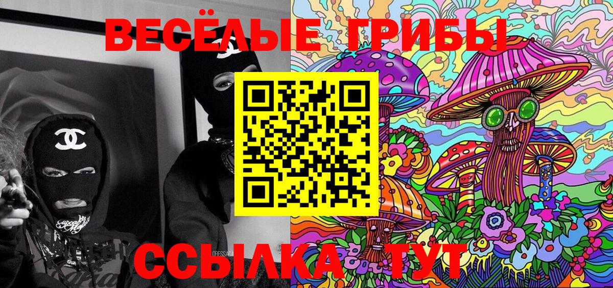 Псилоцибиновые грибы мицелий  Вход с VPN  Псилоцибиновые грибы ЛСД  Гагарин 